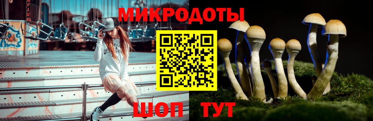 Галлюциногенные грибы Cubensis  Вход с VPN  Псилоцибиновые грибы мицелий  Магнитогорск 